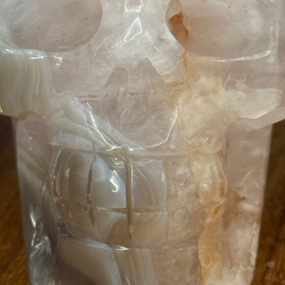 Orca Agate Skull Carving Quartz Pink Clear Neurology Neuro Surgery Office Decor - Picture 9 of 11